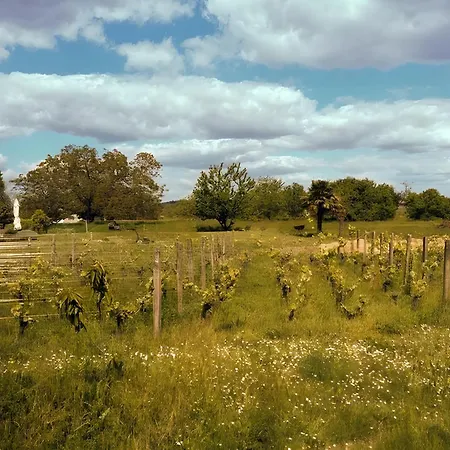 Prázdninový dům Vineyard With Pool And Hot Tub