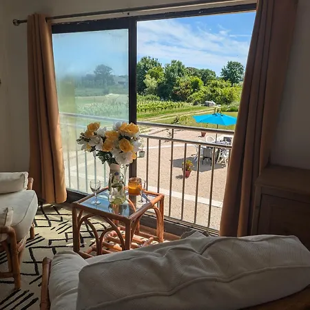 Vineyard With Pool And Hot Tub Casa vacanze